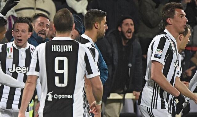 球队战术执行高效，连胜势头不减